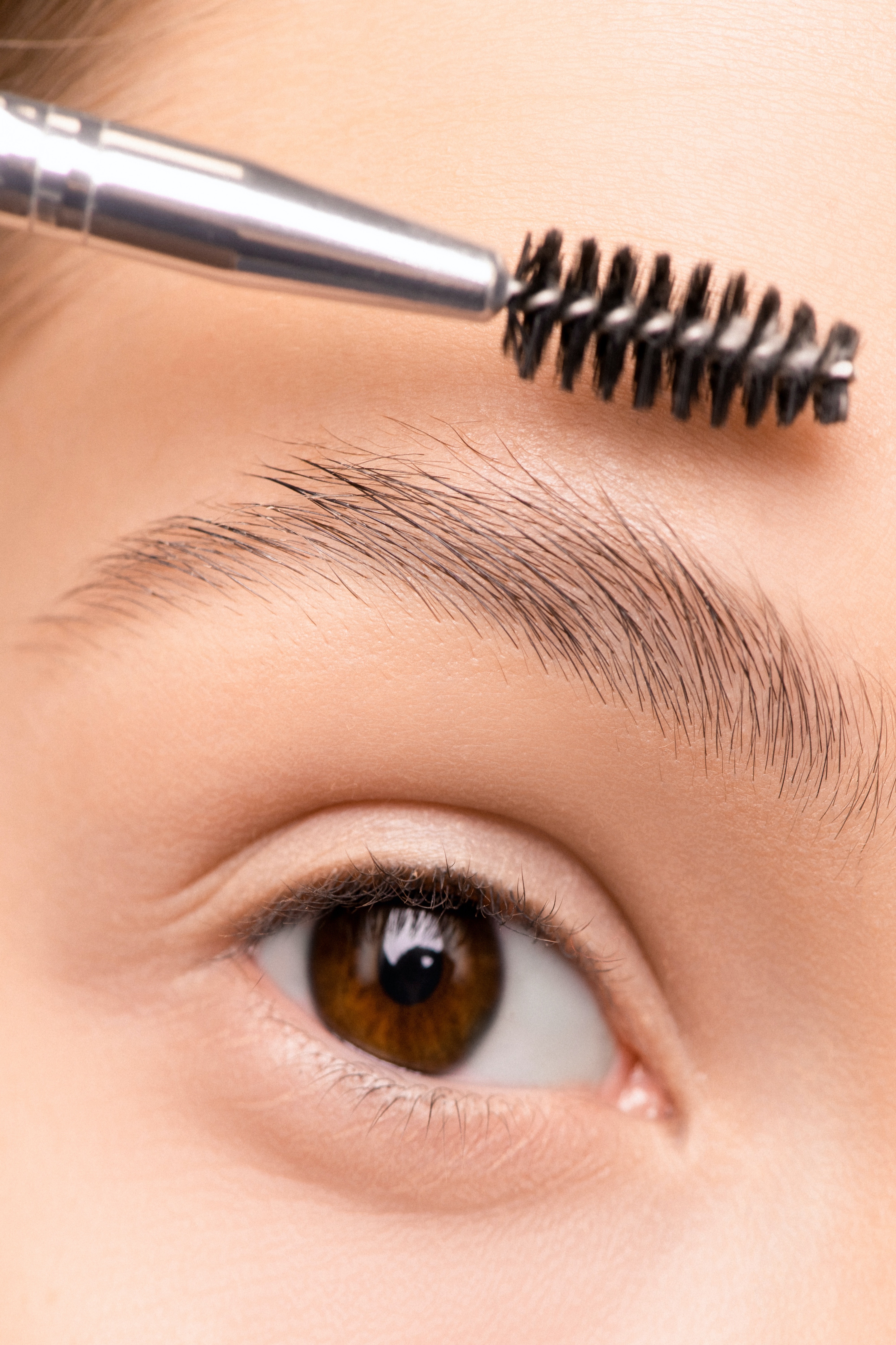 Cejas